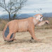 Wildcrete Mountainlion